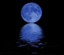 X. Carlos Caneiro, Blue Moon